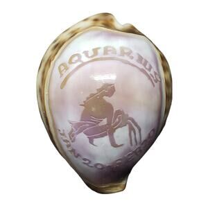 Aquarius Astrology January 20 -  February 20 Tiger Cowrie Seashell Horoscope